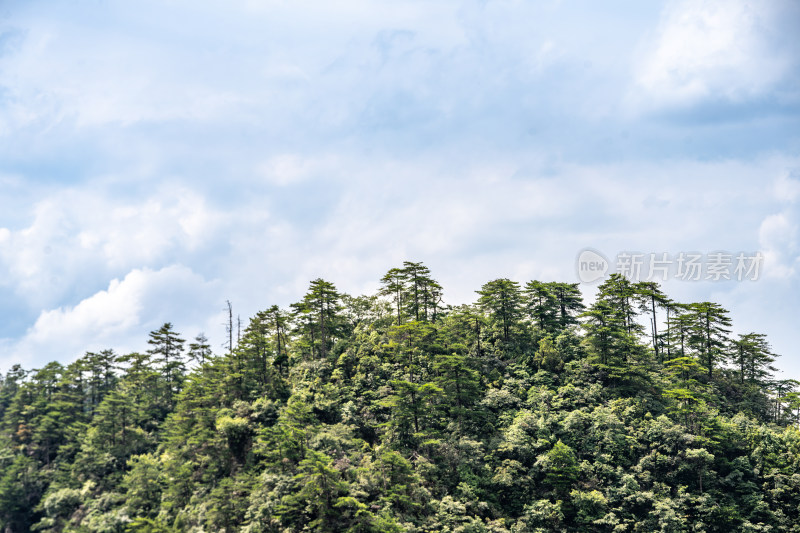 中国湖南张家界景区奇特山峰与茂密森林