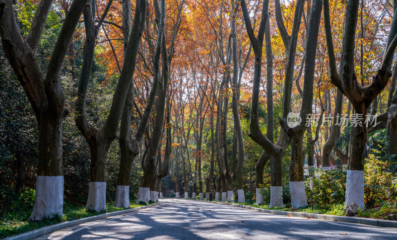 南京中山陵