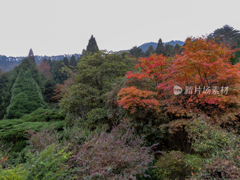 中国江西九江庐山旅游风光