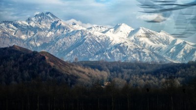 雪山远景下植被繁茂的自然景观