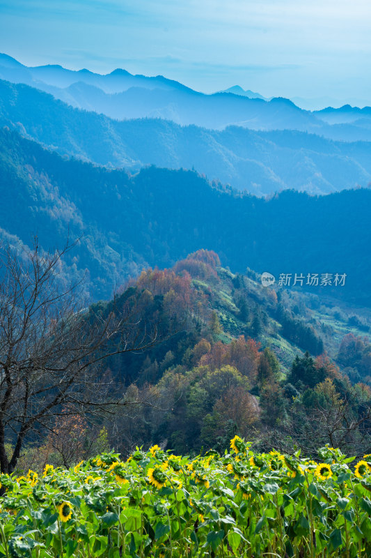 安徽徽州皖南群山云海河流仙境云端村落