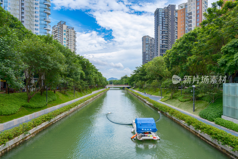 深圳后海中心河公园风景