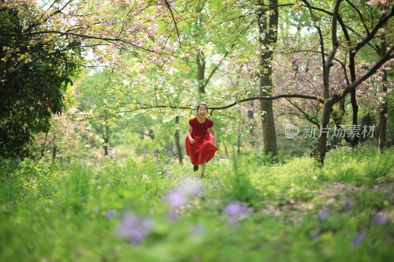 春天唯美二月兰花丛里奔跑的漂亮红裙女孩