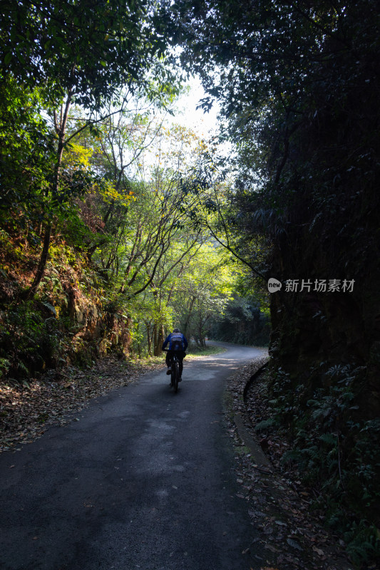 林间小道上独自骑行