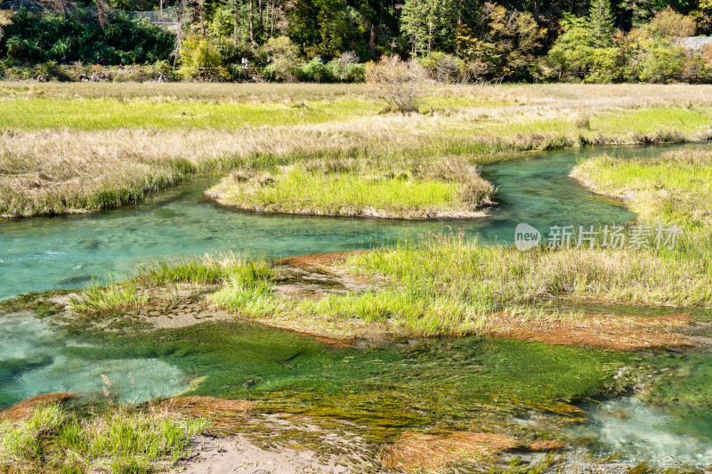 四川阿坝九寨沟景区秋天的湿地