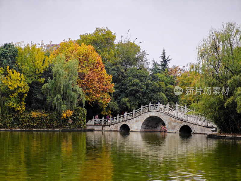 西安丰庆公园秋天风景