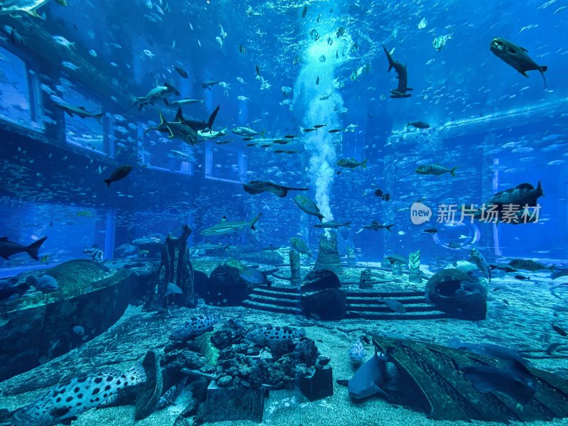 三亚亚特兰蒂斯酒店的水族馆