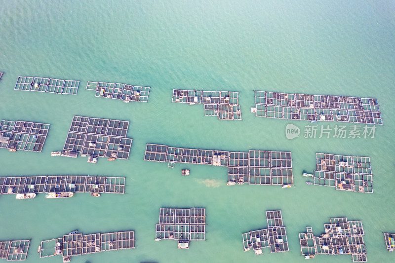 俯拍海上海鲜养殖基地