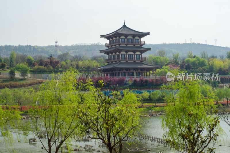 渭南南湖公园春天风景