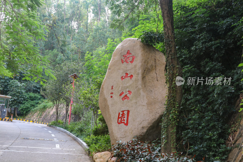 深圳南山公园景观