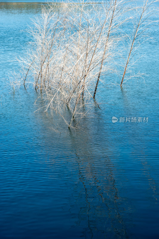 宁静的湖面水面