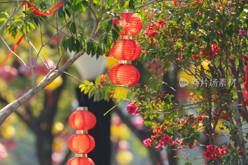 春节新年树挂着一排排红色的小灯笼