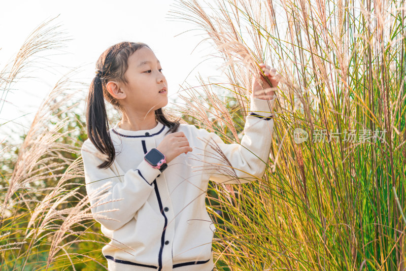 秋天在公园花丛中游玩中国女孩