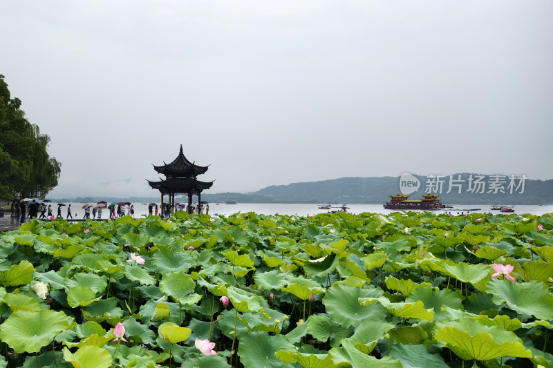 水墨西湖