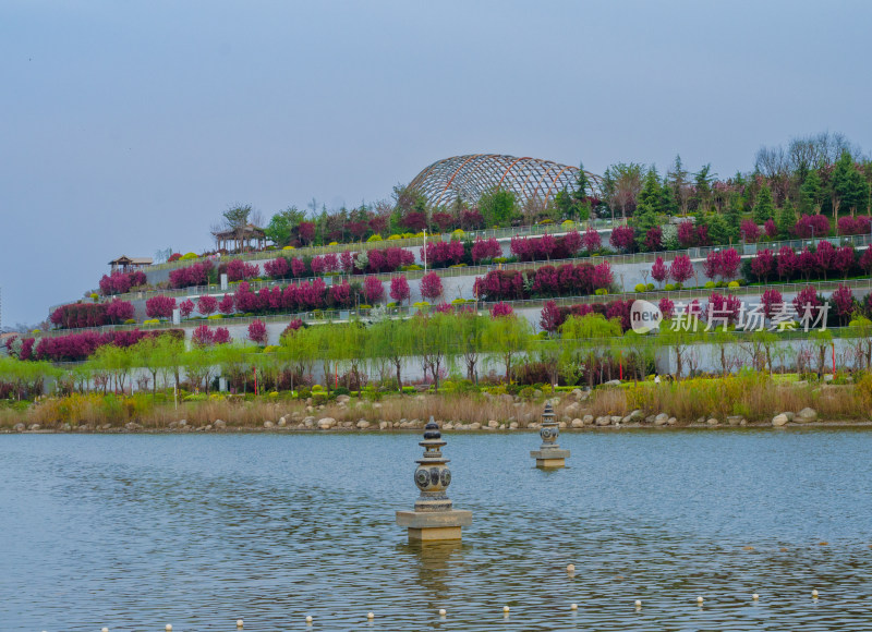 湖边景观带多彩植物与特色建筑相映成趣