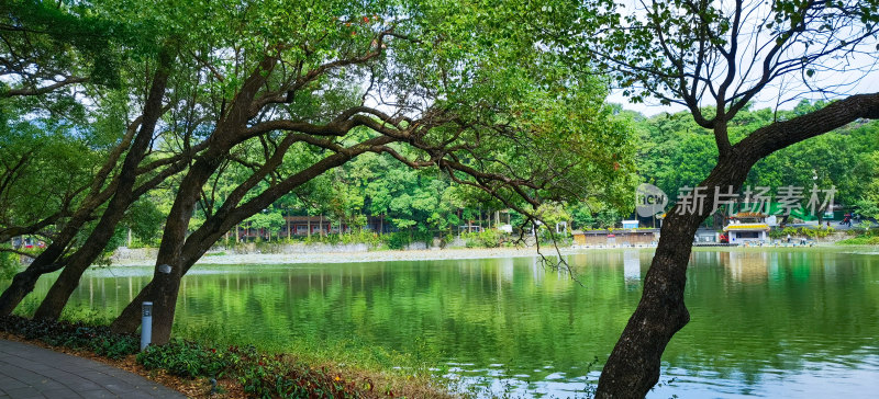 肇庆市七星岩景区