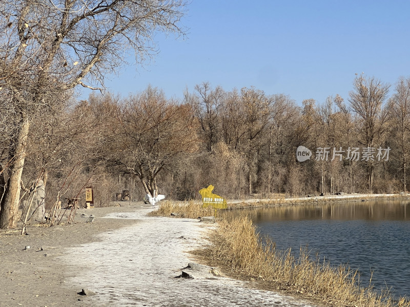 甘肃省酒泉市金塔胡杨林金波湖