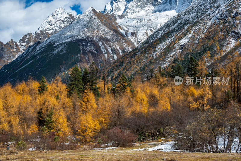 晴朗午后，四川毕棚沟景区秋景