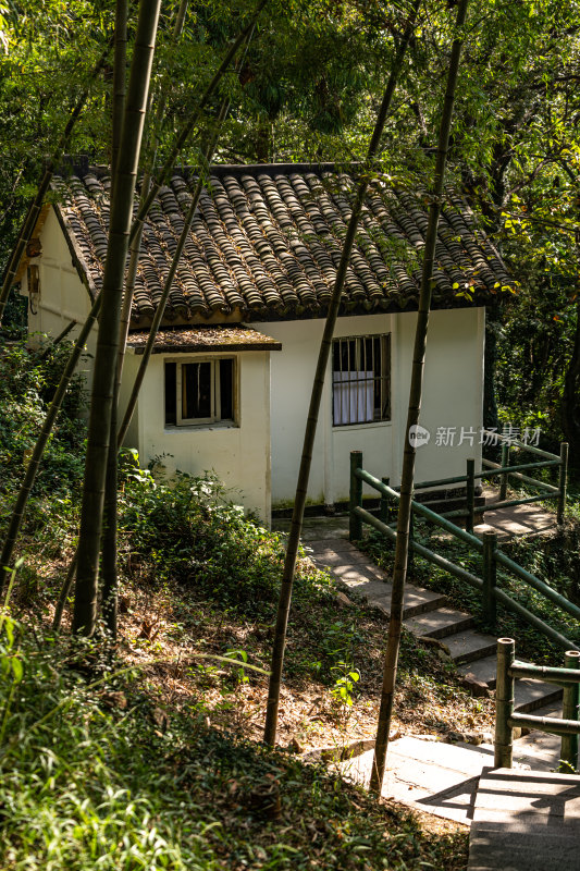 上海松江佘山森林公园自然建筑景观