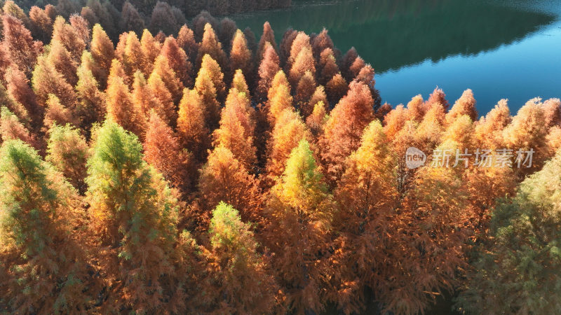 昆明寻甸三月三：色彩斑斓  冬景如画