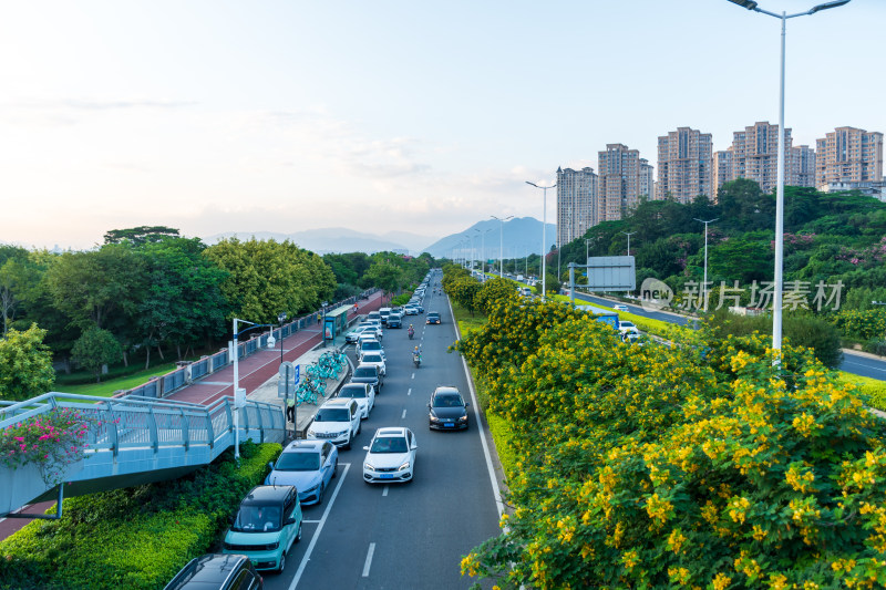 城市高速公路车流景象