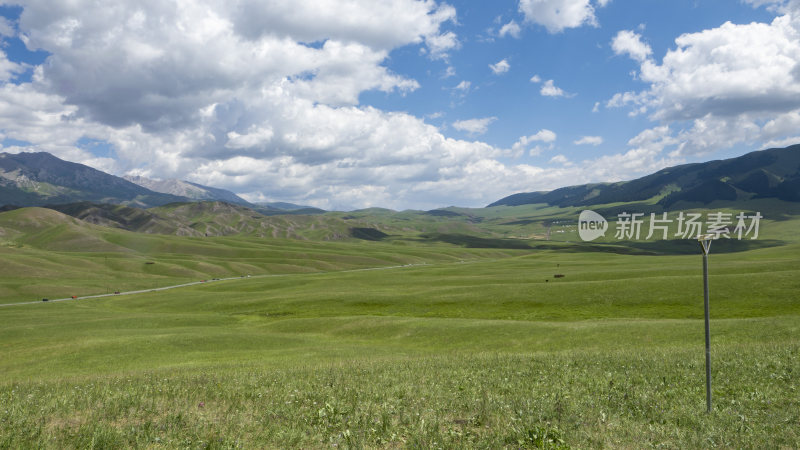 新疆草原森林风景自然