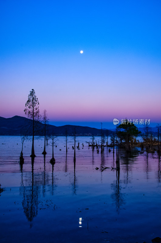 云南大理洱海黄昏湖岸树林剪影自然风光