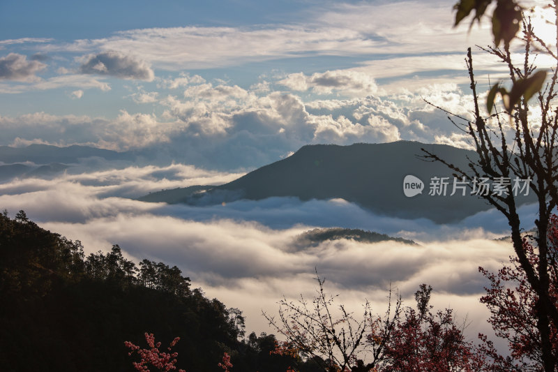 日出云海