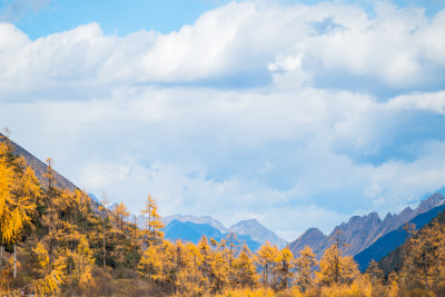 晴朗午后，四川毕棚沟景区秋景