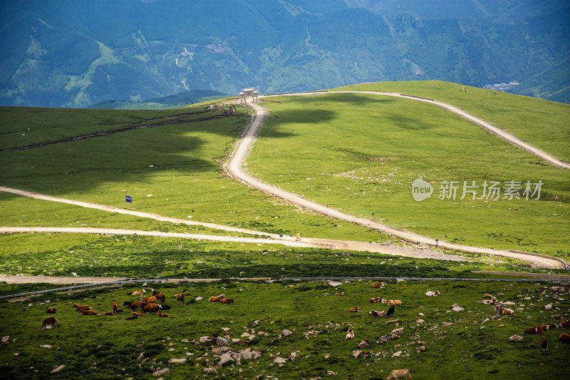 五台山自然风光