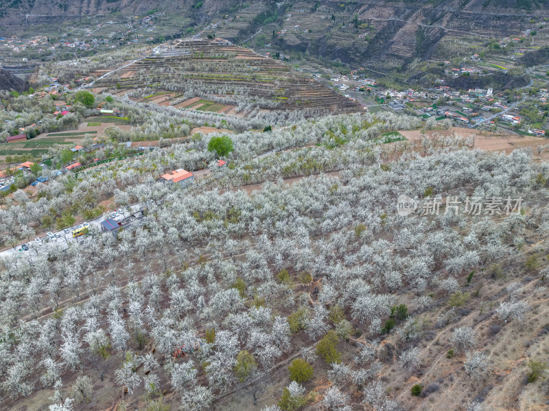 四川阿坝州金川梨花藏寨雪山高空航拍