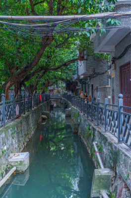 广州海珠小洲村河涌水道与绿树街道景观