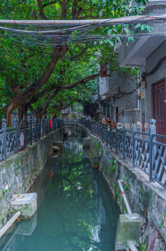 广州海珠小洲村河涌水道与绿树街道景观