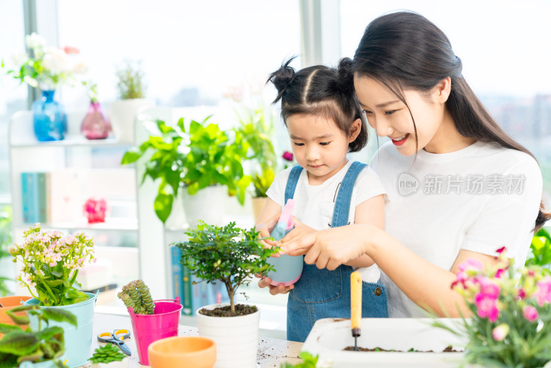 快乐的母女俩在家种植盆栽