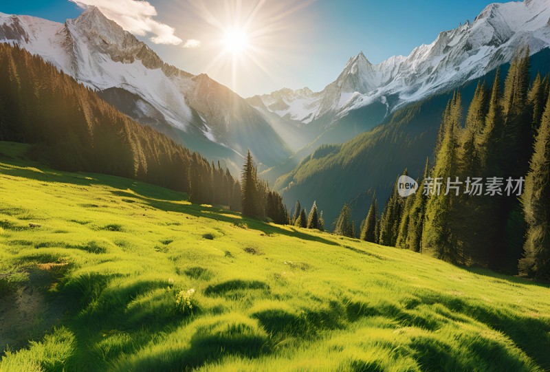 雪山草原森林风景