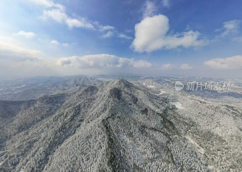 冬天森林雪景航拍全景图