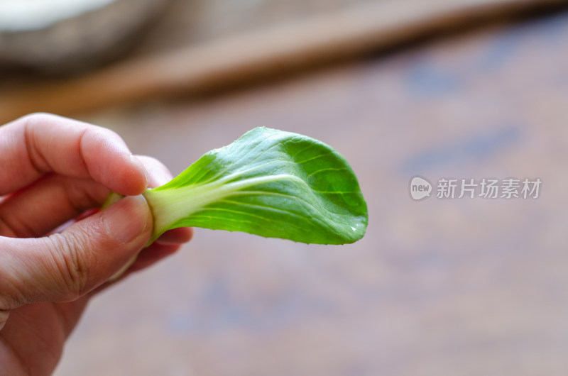 手里拿着一片青菜叶