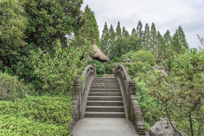 绍兴沈园中式园林风景