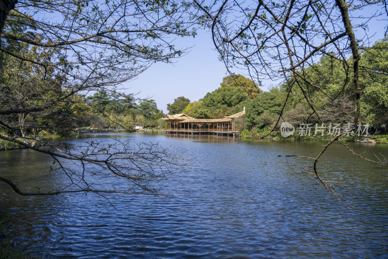 杭州西湖花港观鱼风景