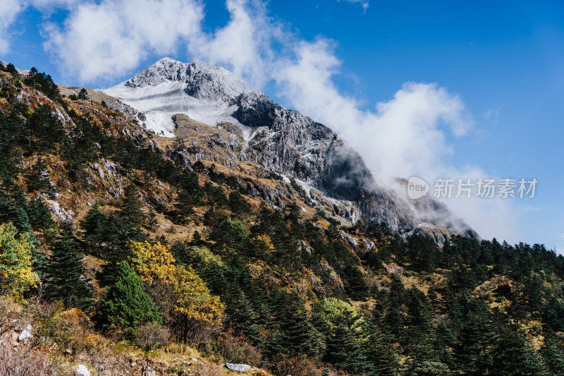 丽江玉龙雪山蚂蝗坝