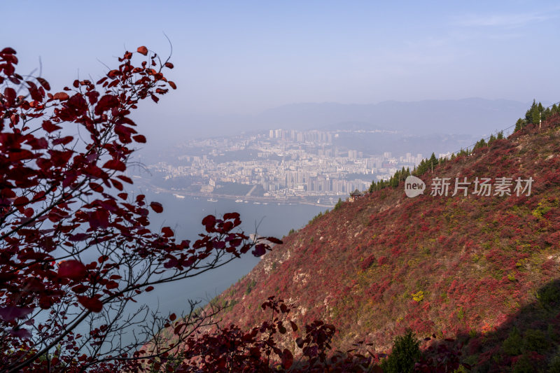 秋日红叶掩映下的重庆巫山城市全景