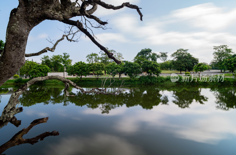 增城荔湖公园