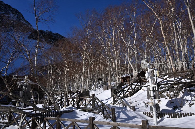 积雪覆盖的山林中木制栈道