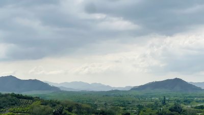 森林山峦氧吧