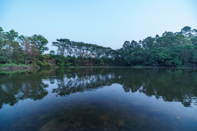 广州番禺大夫山森林公园水塘湖泊树林