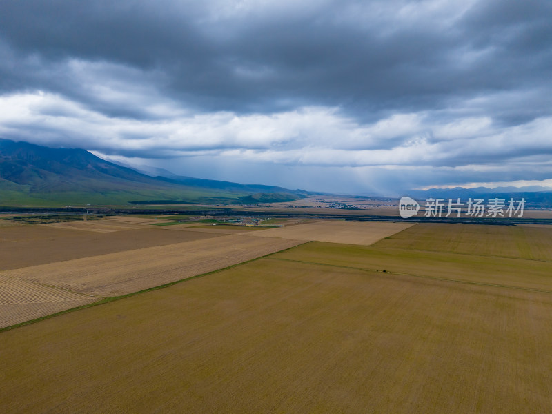 西北农业种植航拍图