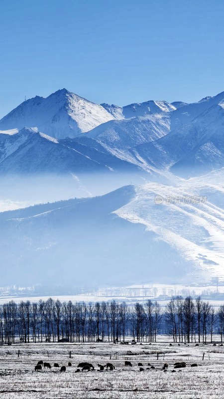 雪山下的草原牧场景象