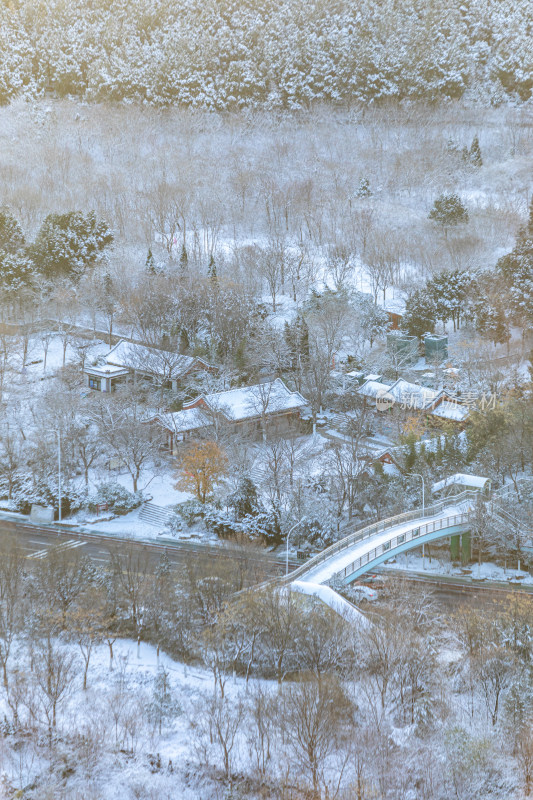 济南千佛山冬日雪景景观