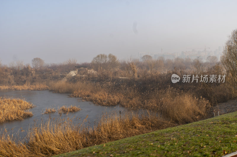 广利河湿地公园冬景