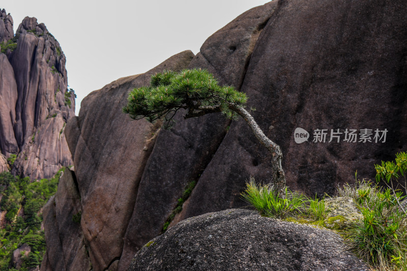 黄山登高自然风光